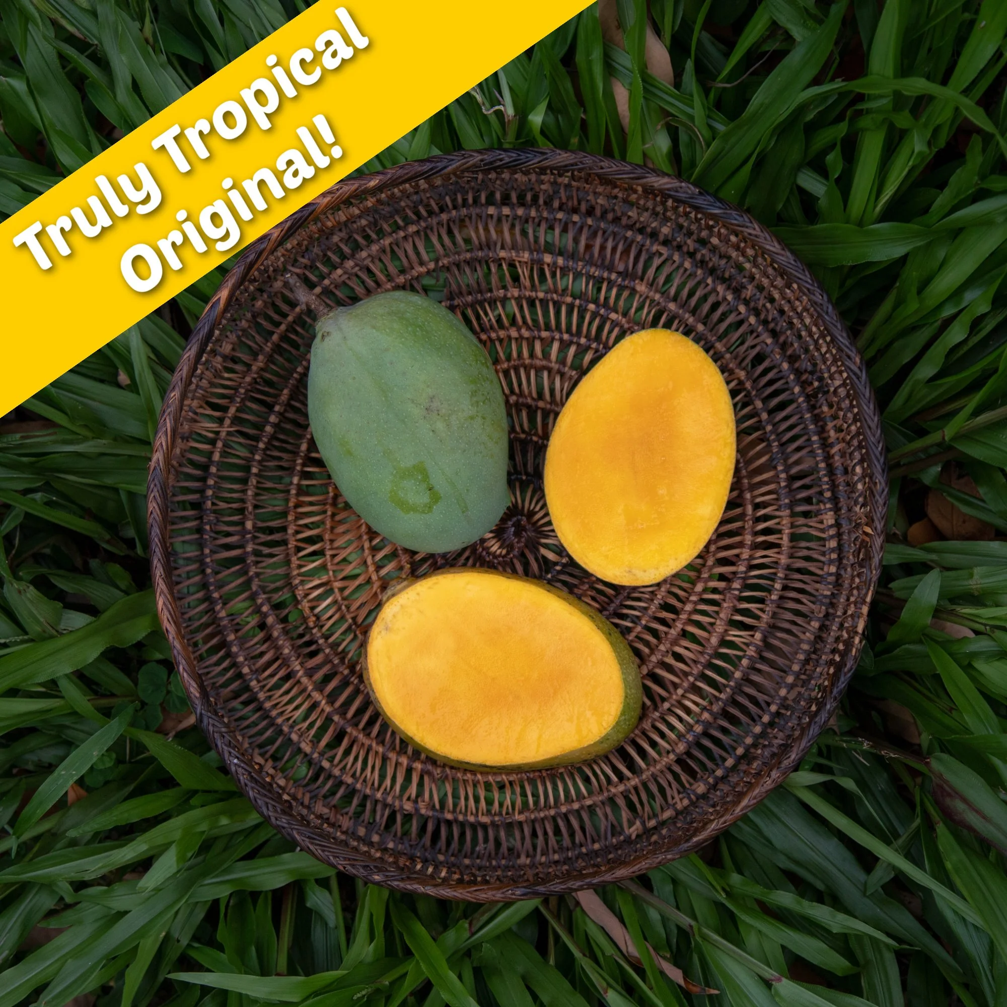 Mangos — The Mango Place